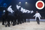 MB180111A0327-Marlon Zinnecker - Cavalerie - Allemagne