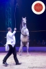 MB180111A0369-Marlon Zinnecker - Cavalerie - Allemagne