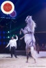 MB180111A0389-Marlon Zinnecker - Cavalerie - Allemagne