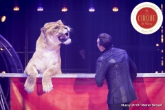 MB190111A0552-Tom DIECK JR - Lions & Tigres