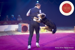 MB190111A0306-Sandro MONTEZ - Dressage de Chiens