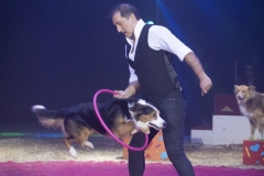 MB190111A0320-Sandro MONTEZ - Dressage de Chiens