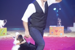 MB190111A0341-Sandro MONTEZ - Dressage de Chiens