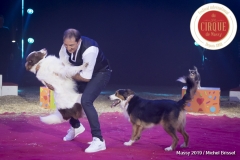 MB190111A0352-Sandro MONTEZ - Dressage de Chiens