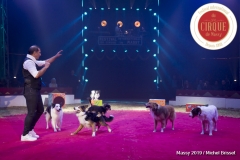 MB190111A1143-Sandro MONTEZ - Dressage de Chiens