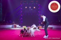 MB190111A1156-Sandro MONTEZ - Dressage de Chiens