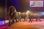 M60123A0959 - Ronald Spindler et ses Eléphants
