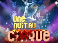 affiche-Une-nuit-au-cirque-3D--723x1024