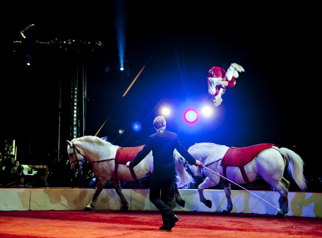 14012012-IMG_7295-660x488