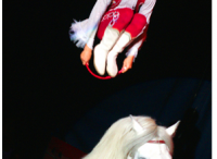 equestrian-298x253