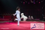 2017012579-Premières représentations