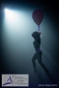 alone="yes"?>

