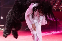 MB170113A0193 - Gina Giovanni - Dressage de chiens - Belgique