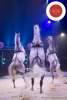 MB180110A0075-Marlon Zinnecker - Cavalerie - Allemagne
