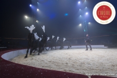 MB180110A0025-Marlon Zinnecker - Cavalerie - Allemagne