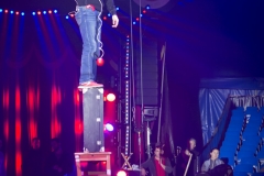 MB180110A0821-Elastic – Comique Excentrique – France