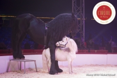 MB180110A0844-Marlon Zinnecker – Maxi Mini – Allemagne