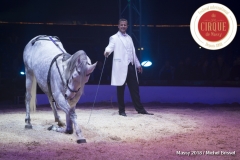 MB180111A0376-Marlon Zinnecker - Cavalerie - Allemagne