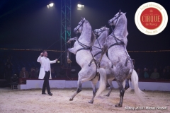 MB180111A0405-Marlon Zinnecker - Cavalerie - Allemagne