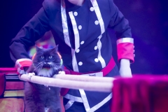 MB180111A0863-Duo Savitsky - Jeux de chats - Ukraine