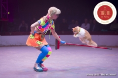 MB180111A0889-Duo Savitsky - Jeux de chats - Ukraine