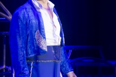 MB180111A1135-Didier Prien - Fauves - France