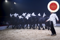 MB180111A1909-Marlon Zinnecker - Cavalerie - Allemagne