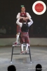 MB180112A0085-Wolf Brothers - Acrobates burlesques - Tchéquie