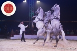 MB180111A0405-Marlon Zinnecker - Cavalerie - Allemagne