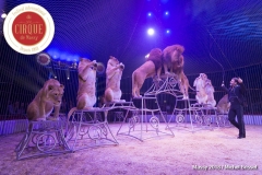 MB180113A2395-Didier Prien - Fauves - France