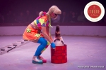 MB180111A0821-Duo Savitsky - Jeux de chats - Ukraine