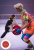 MB180111A2286-Duo Savitsky - Jeux de chats - Ukraine