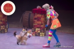 MB180113A1570-Duo Savitsky - Jeux de chats - Ukraine