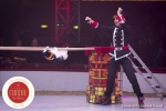 MB180114A0294-Duo Savitsky - Jeux de chats - Ukraine
