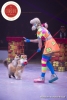 MB180114A0331-Duo Savitsky - Jeux de chats - Ukraine