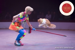 MB180111A0890-Duo Savitsky - Jeux de chats - Ukraine