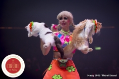 MB180111A2273-Duo Savitsky - Jeux de chats - Ukraine