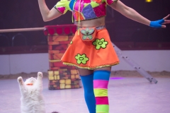 MB180111A2301-Duo Savitsky - Jeux de chats - Ukraine