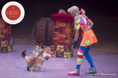 MB180113A1570-Duo Savitsky - Jeux de chats - Ukraine