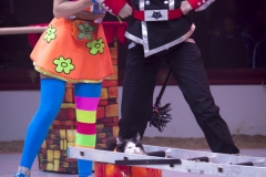 MB180114A0250-Duo Savitsky - Jeux de chats - Ukraine