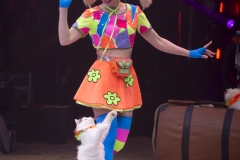 MB180114A0283-Duo Savitsky - Jeux de chats - Ukraine