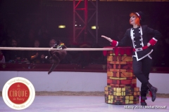 MB180114A0304-Duo Savitsky - Jeux de chats - Ukraine