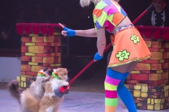 MB180114A0331-Duo Savitsky - Jeux de chats - Ukraine