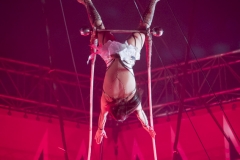 MB190110A2331-Kaely MICHELS GUALTIERI - Trapèze