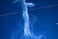 MB190111A2314-Laura MILLER - Anneau aérien aquatique