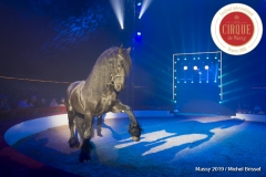 MB190110A1933-Louis KNIE - Carrousel équestre et chevaux en liberté