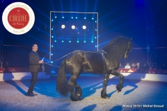 MB190110A1939-Louis KNIE - Carrousel équestre et chevaux en liberté