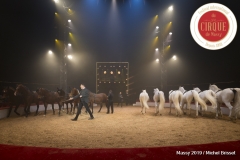 MB190110A1996-Louis KNIE - Carrousel équestre et chevaux en liberté