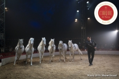 MB190112A2107-Louis KNIE - Carrousel équestre et chevaux en liberté