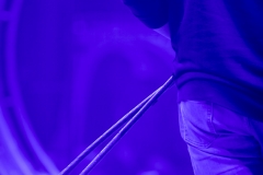 MB190109A0324-Tom DIECK JR - Lions & Tigres